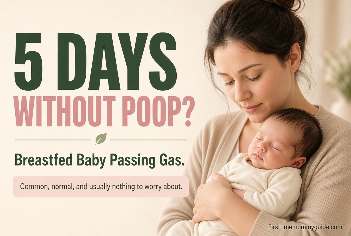 Breastfed Baby Hasn't Pooped in 5 Days but Passing Gas: Is It Normal? Causes and Safe Relief 2026